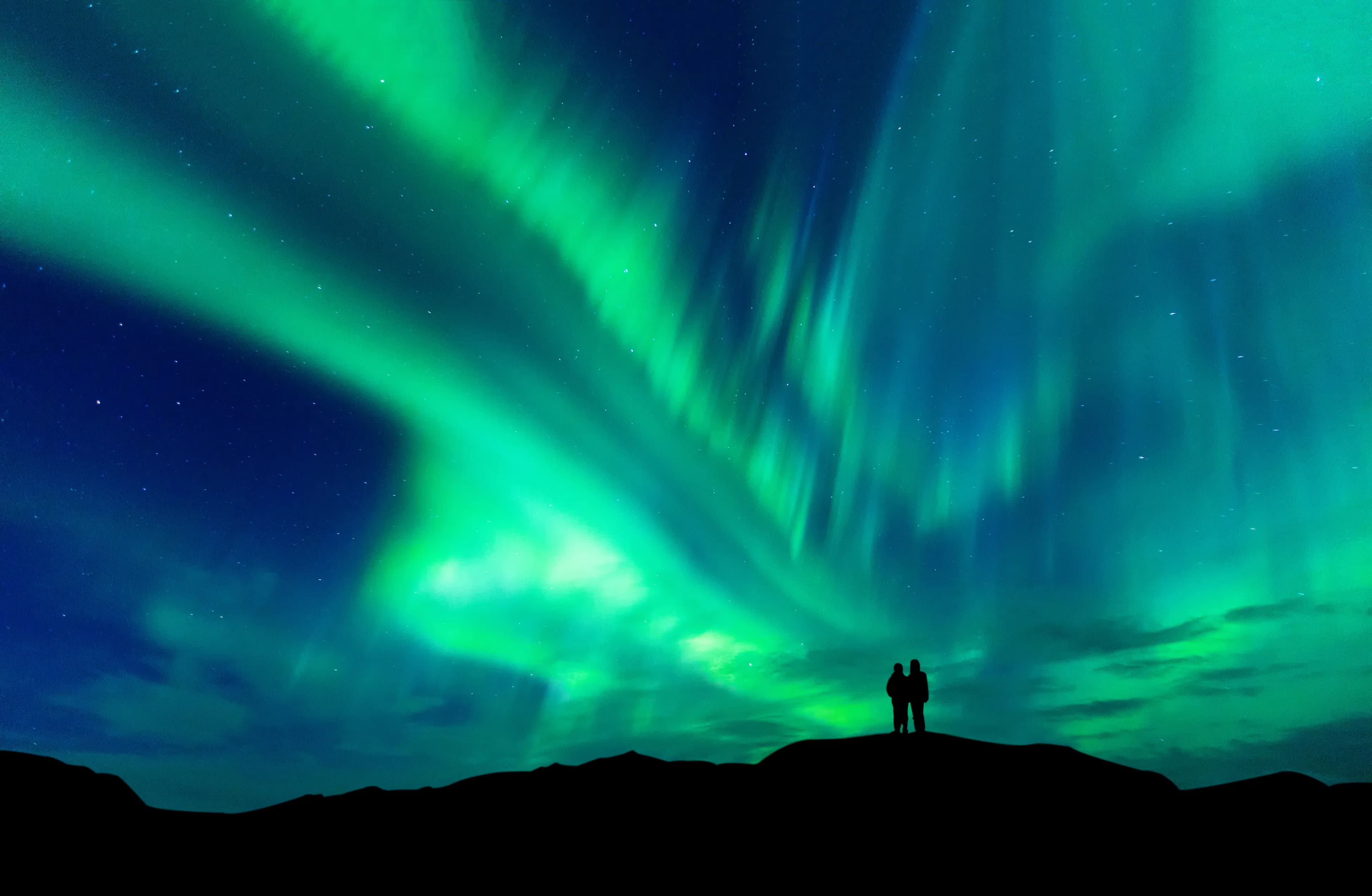 Arctic Midnight Group