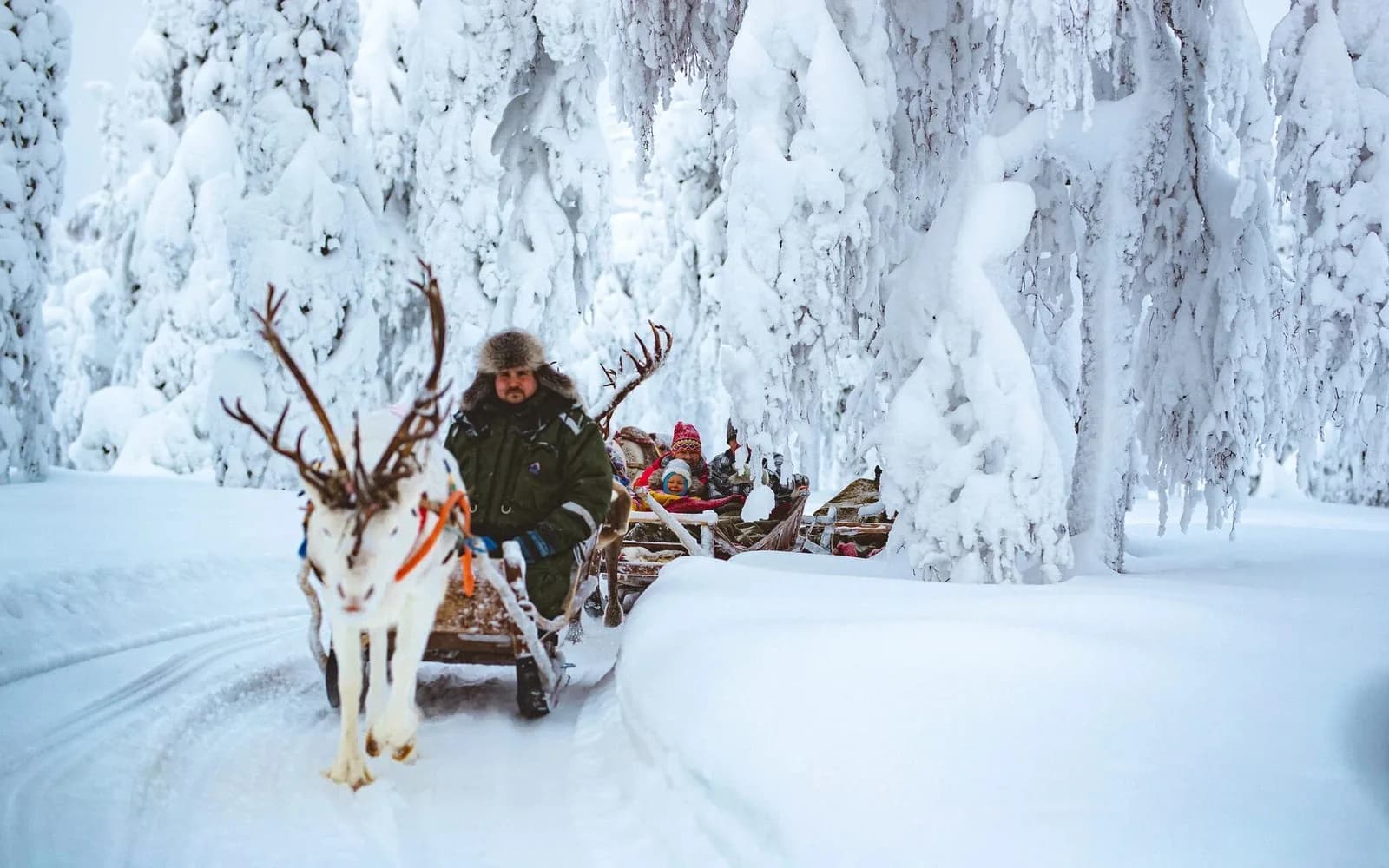 Sammuntupa Café and Reindeer Farm