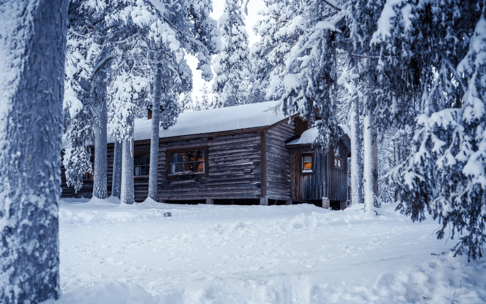 Hanhipirtti - Café in Wilderness